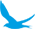 BV BIRD 2